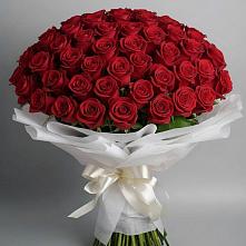 Букет 101 Красная роза Блэк Мэджик в Зеленый