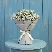 Букет цветов из:  Гипсофила в Зеленый