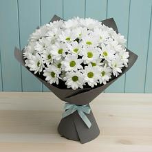 Букет цветов из:  Хризантемы #REPLACE_PRED# Зеленый