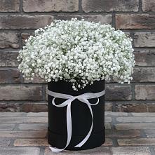 Цветочная композиция из Гипсофила в шляпной коробке в Зеленый