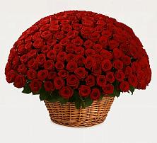 Премиум букет из: Розы в Зеленый