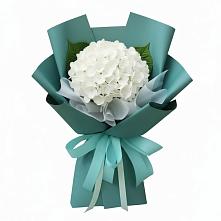 Букет цветов из:  Гортензия в Зеленый